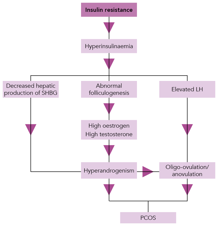 3476_Fig-1.-Hormonal-influences-on-the-development-of-polycystic-ovary-syndrome.png
